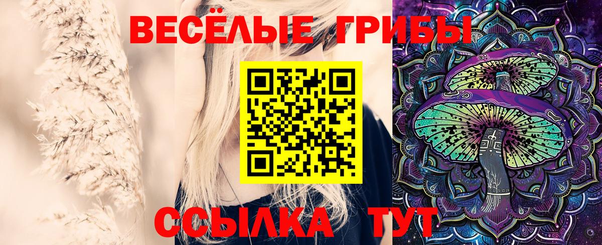 Галлюциногенные грибы Psilocybe  Вход с VPN  Псилоцибиновые грибы мицелий  Шатура 