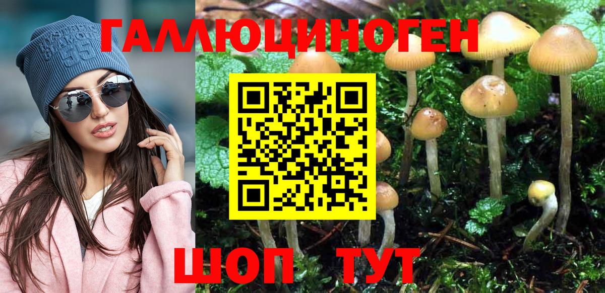 Галлюциногенные грибы Psilocybine cubensis Шатура